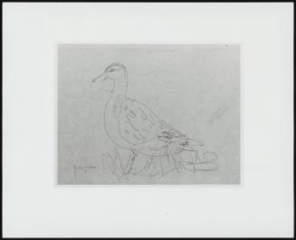 Study of a Duck; Verso; Slight Sketch of a Duck
