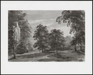 Landscape with Trees in a Park