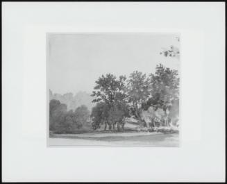 Landscape with Trees