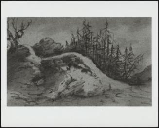 Composition of Rocks and Pine Trees