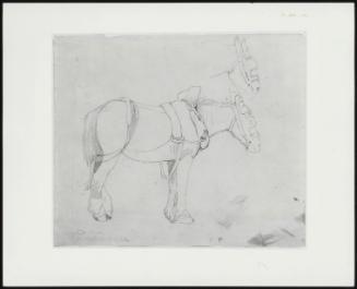 John Flaxman, R. A., Whilst Lecturing at the Royal Academy / Studies of a Carthorse