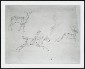 Studies for a Stag Hunt.