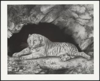 A Tiger Lying in the Entrance of a Cave (One of a Pair)