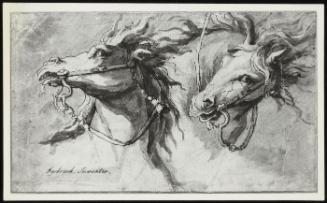Two Horses' Heads