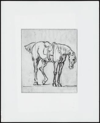 Study of a Saddled Horse, Head Lowered Looking to Faint