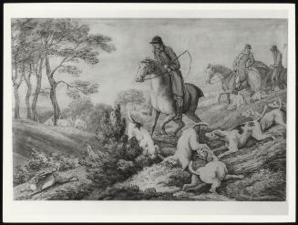 Hare Hunting - A Pale; Myles Sandy's Hounds + Huntsmen Scenting A Hare