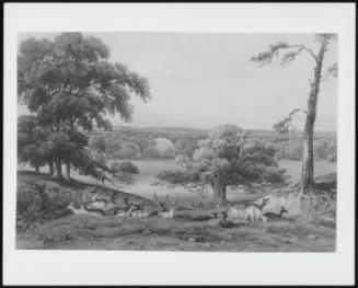 A Distant View of Ampthill Park