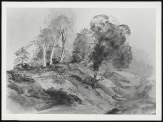 Trees on a Bank, Lowther