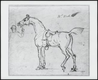 Mr. Wallis –Horse Held by a Jockey