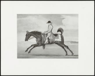 Horse Galloping to the Left, Jockey in Grey