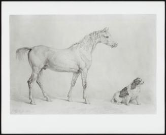 Portrait of a Horse and Dog, the Property of the Rt. Hon. ca. Arbuthnot Esq., M. P.