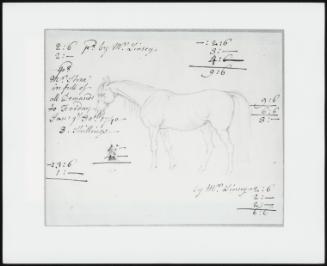 Study for a Mare; Verso: Same Study Gone Over in Ink