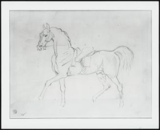 Walking Horse with Unfinished Rider