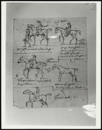 Double–Sided Sheet of Studies of Racehorses