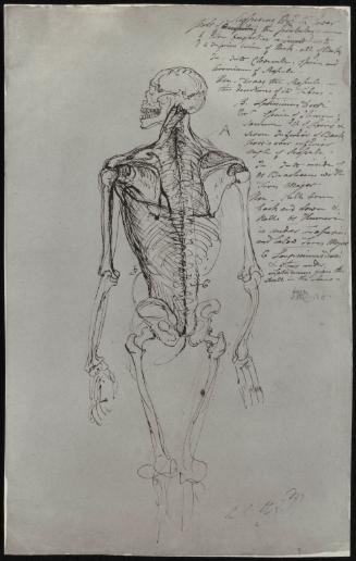 Skeletal Drawing of a Man; with Notes in the Artist's Hand