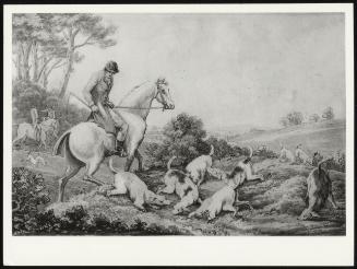 Hare Hunting - A Pale; Myles Sandy's Hounds + Huntsmen Starting A Hare
