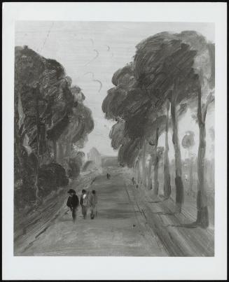 Avenue Of Trees - One Of A Set Of Eleven