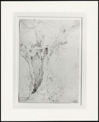 Study Of A Tree With Figures Beyond, C 1752-54