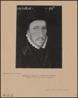 John Jewel (1522–71) Bishop Of Salisbury