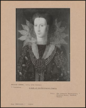 A Lady Of The Waldegrave Family