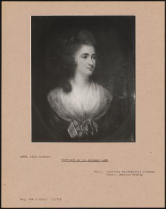 Portrait Of An Unknown Lady
