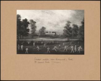 Cricket Near Rosamund's Pond In St James Park