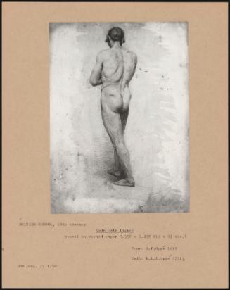 Nude Male Figure