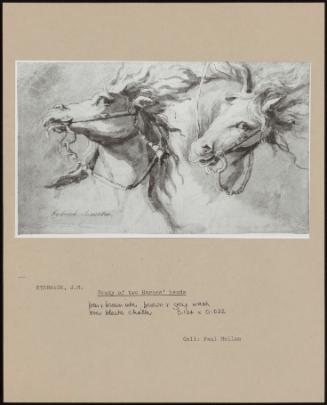 Study of Two Horses' Heads