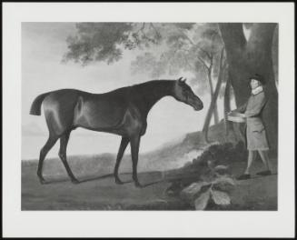Landscape With Shark And His Trainer, Price