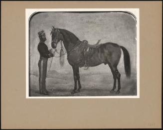 Royalist" Afterwards "Charlie", A Chestnut Horse With Soldier"