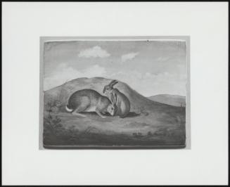 Two Hares In A Landscape