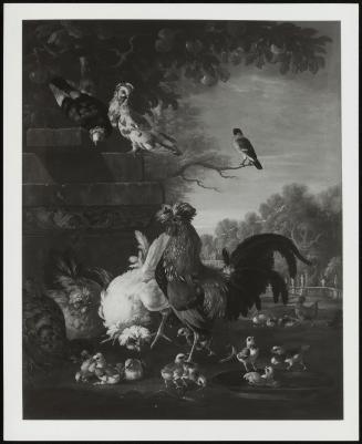 Domestic Birds In An Ornamental Garden, 1730
