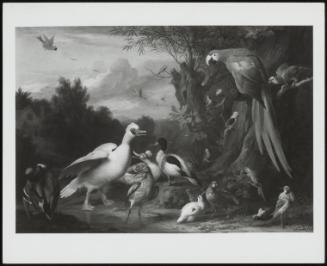 A Macaw, Ducks, Parrots And Other Birds In A Landscape