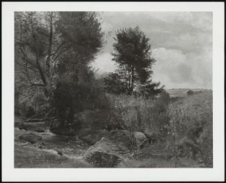 Brook, Trees and Meadows