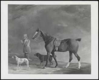 Sportsman Setting Out With Horses And Gun Dogs