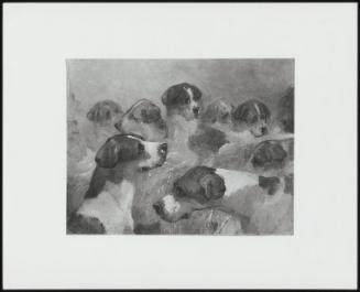 A Group Of Hounds