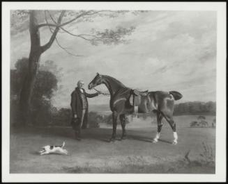 The Earl Of Shrewsburry's Groom Holding A Hunter In The Grounds Of Ingestre Hall