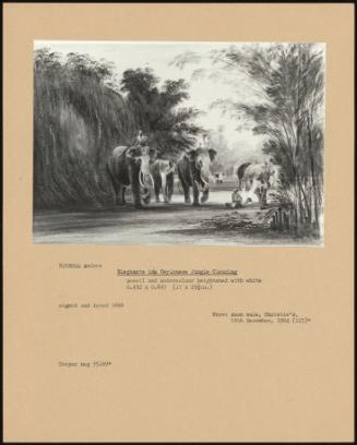 Elephants In A Ceylonese Jungle Clearing
