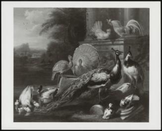 Peacocks, Doves, Turkey, Chickens And Ducks By A Classical Ruin In A Landscape