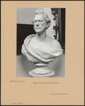 Plaster Bust Of An Undentified Man