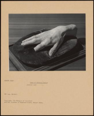 Hand of Antonio Canova