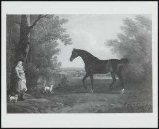 Portrait Of A Gentleman With His Horse And Dogs, 1780