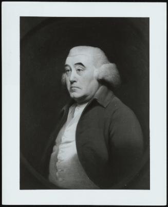 Dr. Richard Wright (Portrait of the Rev. Dr. Richard Wright, Half-Length, in Dun Coat and Yellow Waistcoat)