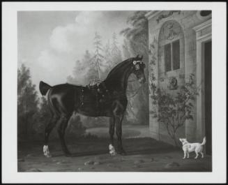 Lord Abergavenny's Dark Bay Carriage Horse, With A Terrier, Outside A Stable, 1785