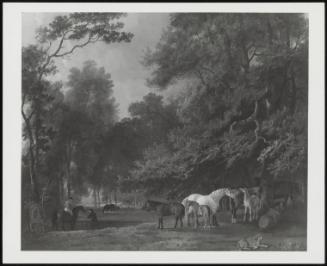 Horses And Foals In A Landscape