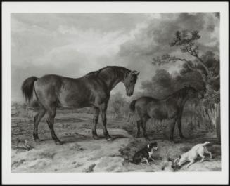 Reformer, Elucher, Tory And Crib, Animals Owned By Rowland Alston, M P Of Pishobury, 1835