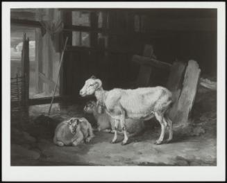 Ram And Sheep In A Barn, 1810