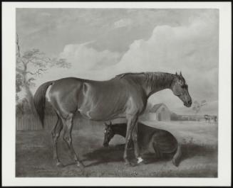 Portrait Of Filagree And Colt, 1827