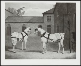 Mr Sowerby's Grey Carriage Horses At Putteridge Bury, 1838