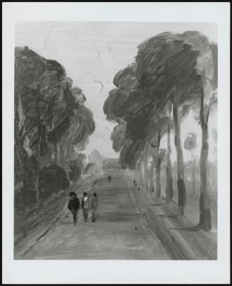 Avenue of Trees